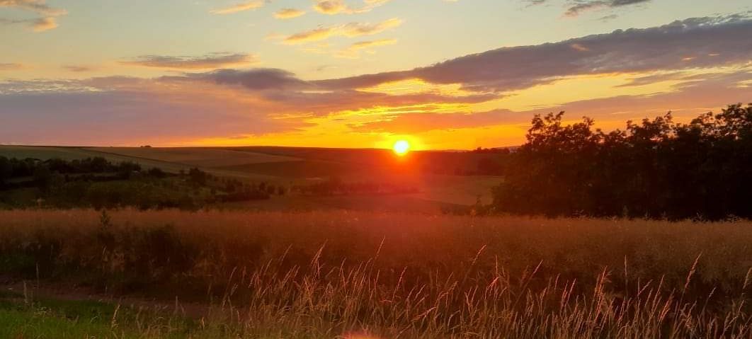 Commune de Wintzenheim-Kochersberg